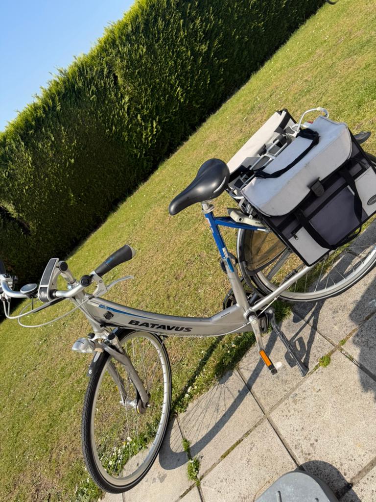 Elektrische fiets, Fietsen en Brommers, Elektrische fietsen, Ophalen, Zo goed als nieuw, Batavus