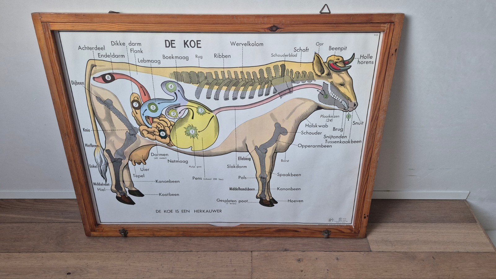 Complete set vintage schoolplaten M.D.I. (1972), Enlèvement