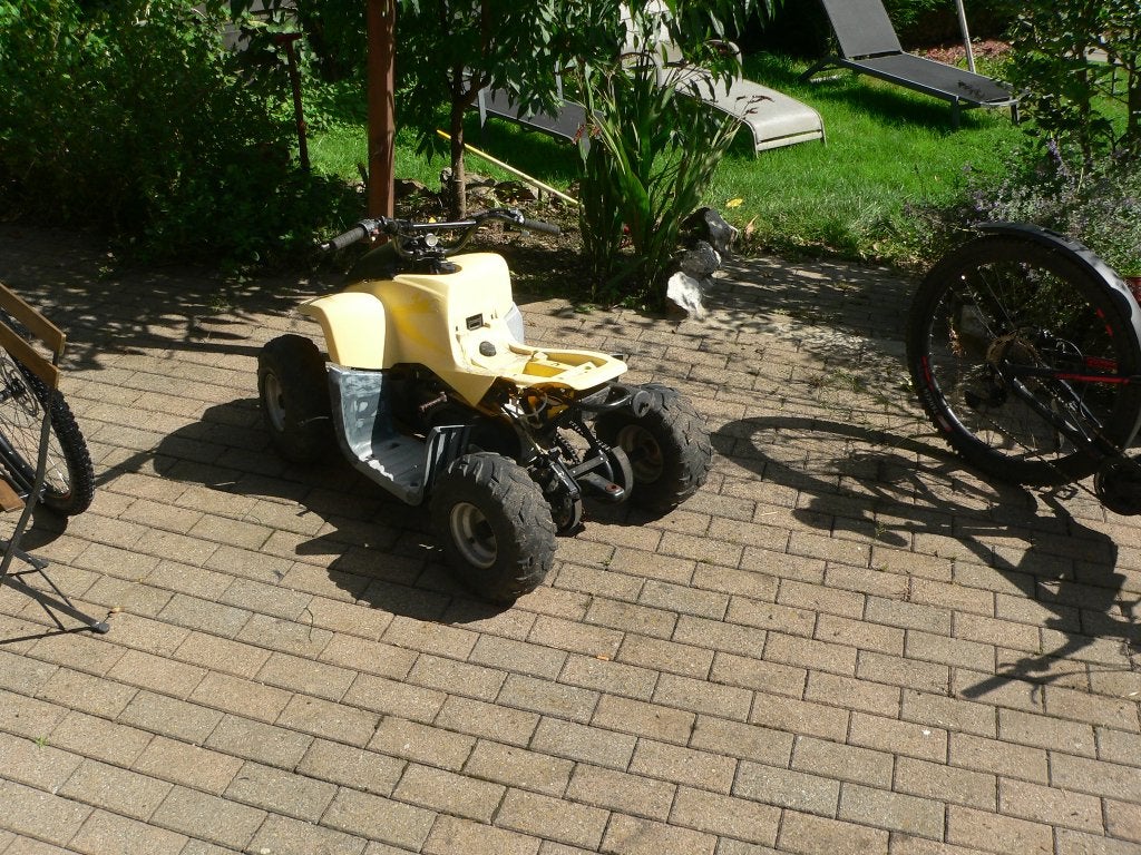 quad dinli dino 50cc