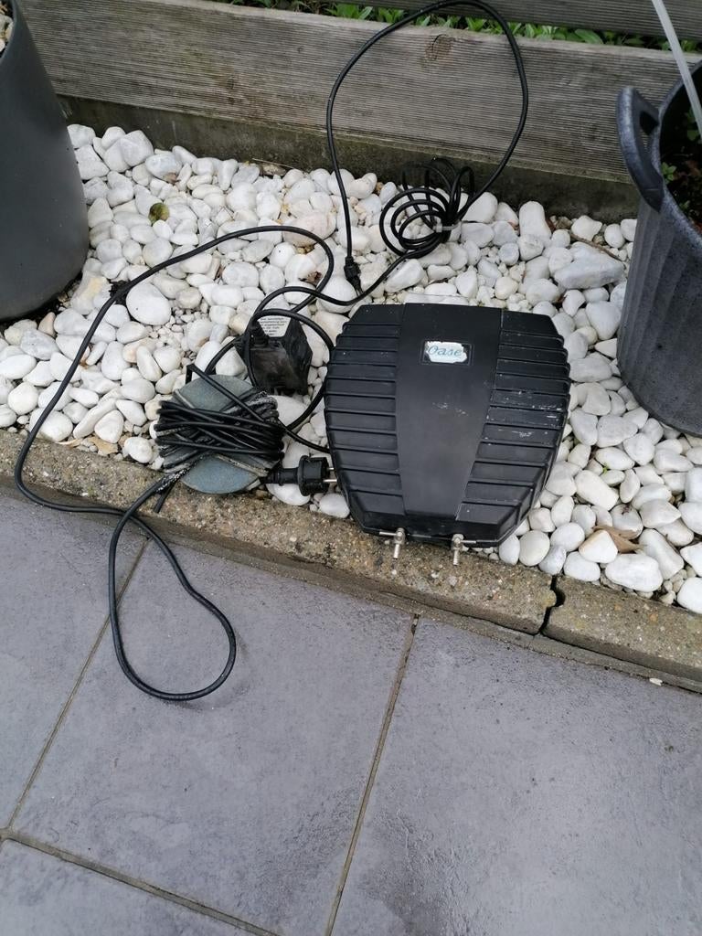 Belluchter, Ophalen
