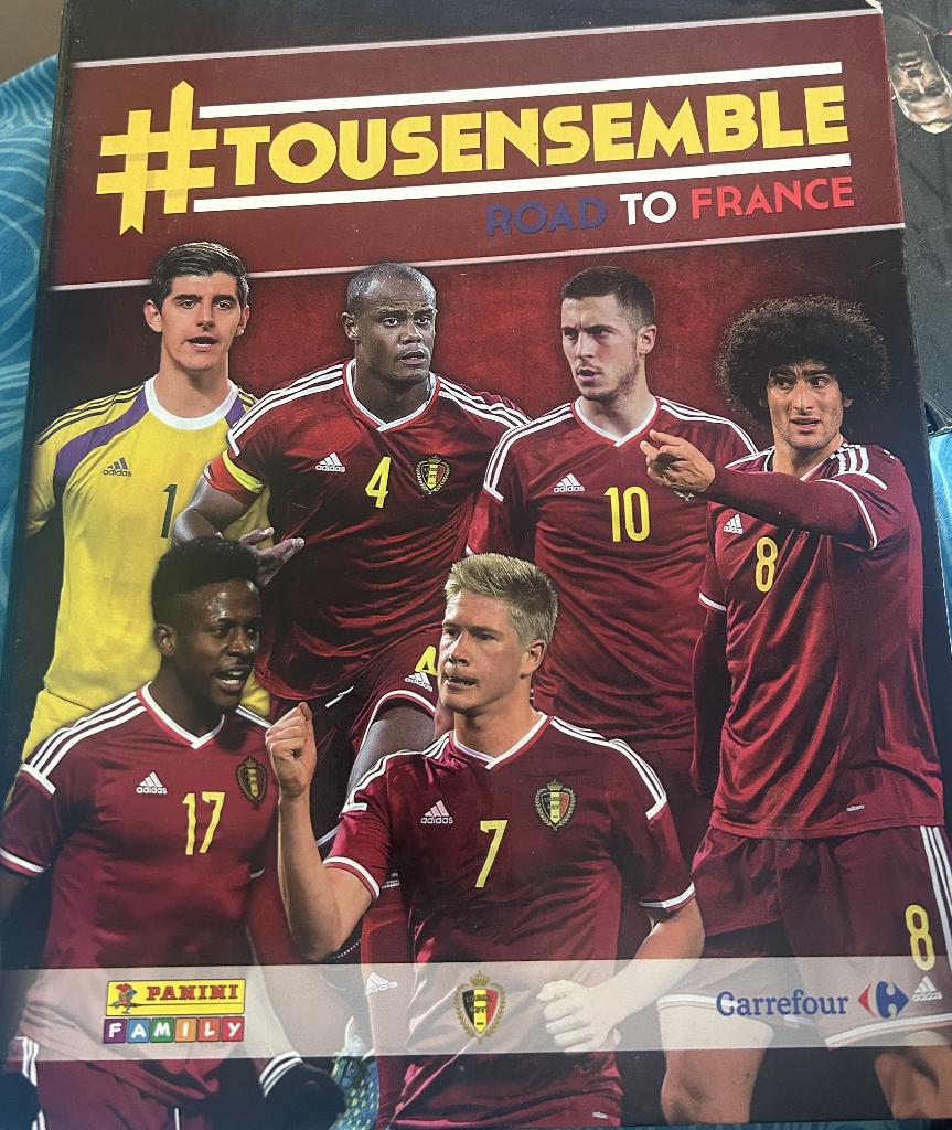 Panini Tous ensemble Road To France, Verzamelen, Ophalen of Verzenden, Gebruikt, Boek of Tijdschrift