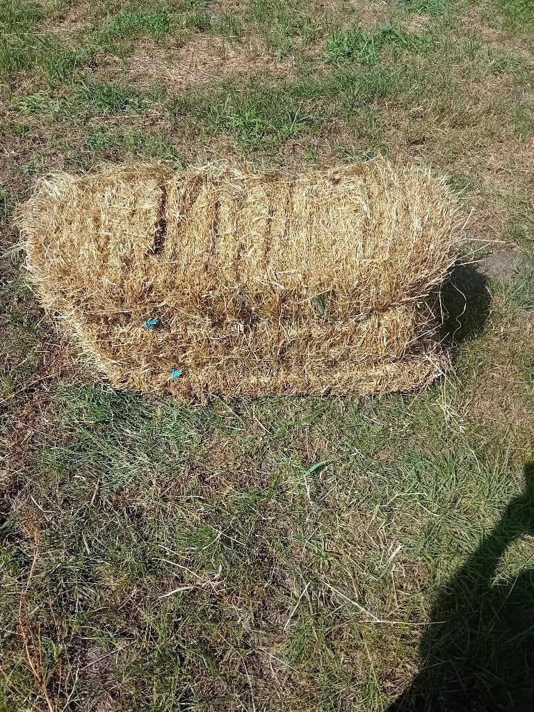 midi balen of kleine pakjes hooi, Zakelijke goederen, Ophalen