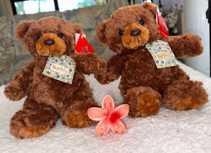 Oursons en peluche, Collections, Ours & Peluches, Enlèvement ou Envoi, Neuf