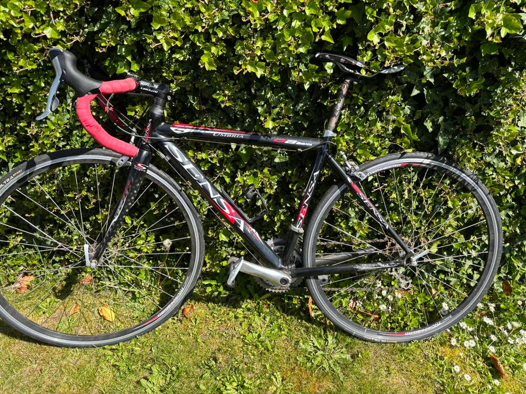 Koersfiets Sensa, Ophalen, Gebruikt, Heren, Overige merken