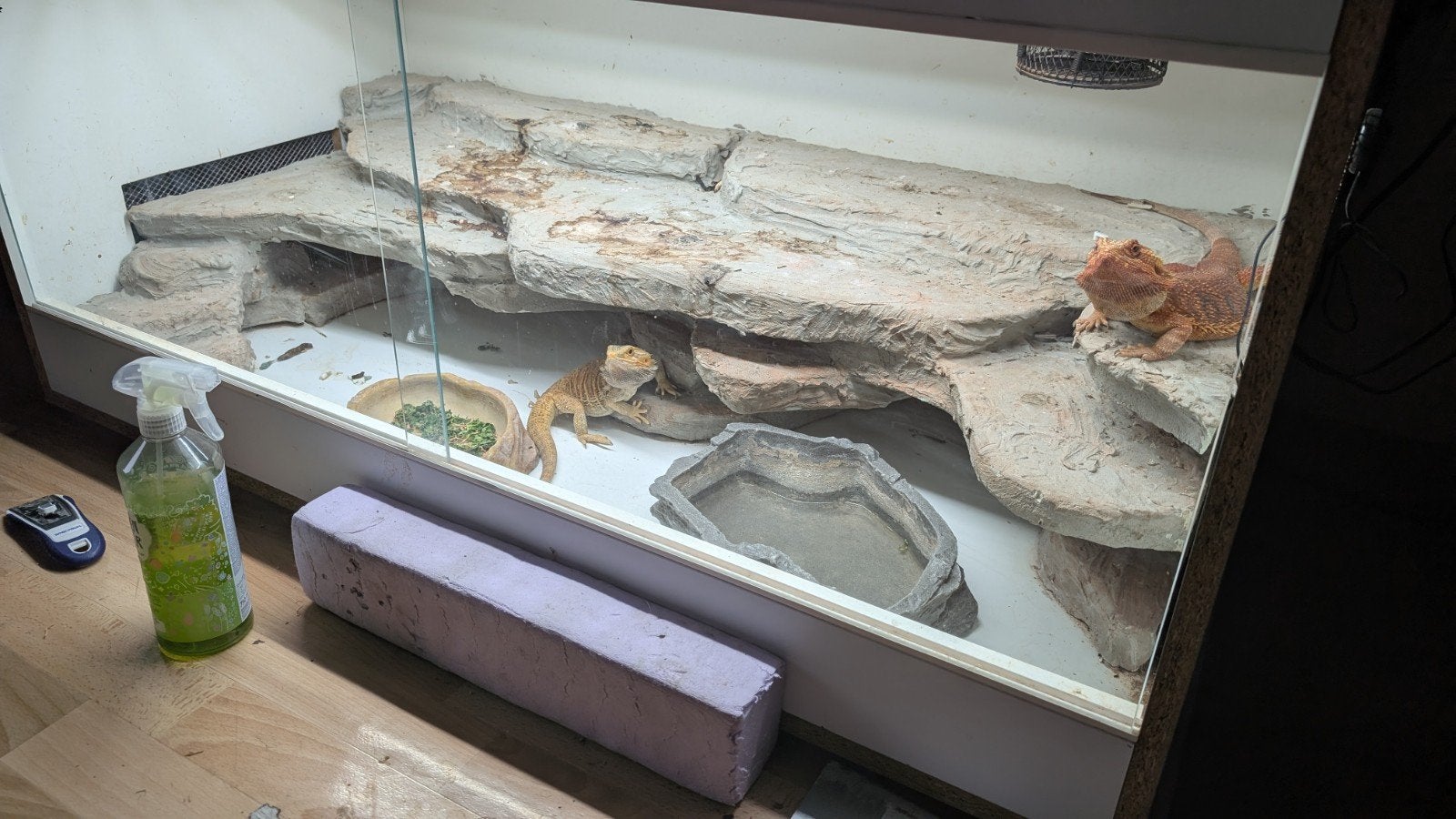 terrarium bois, Animaux & Accessoires, Enlèvement