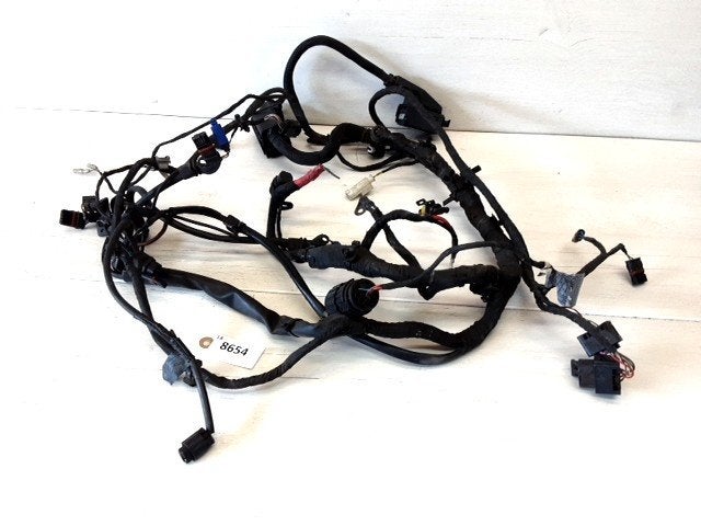 F800ST 2006 - 2012 BMW Kabelboom Kabelboom hoofd D1-51941