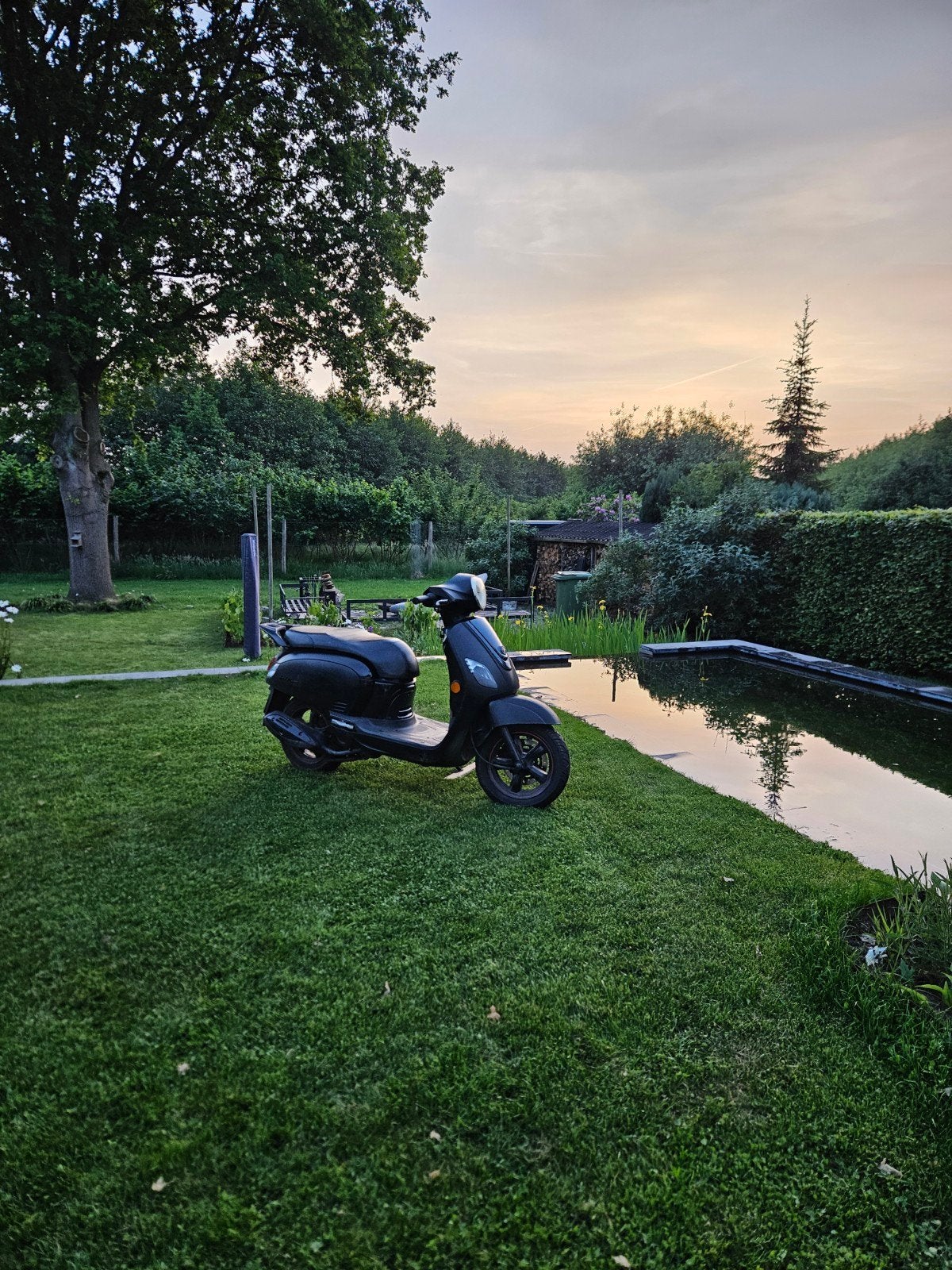 Sym fiddel, Vélos & Vélomoteurs, Vélomoteurs & Scooters bridés, Enlèvement, SYM