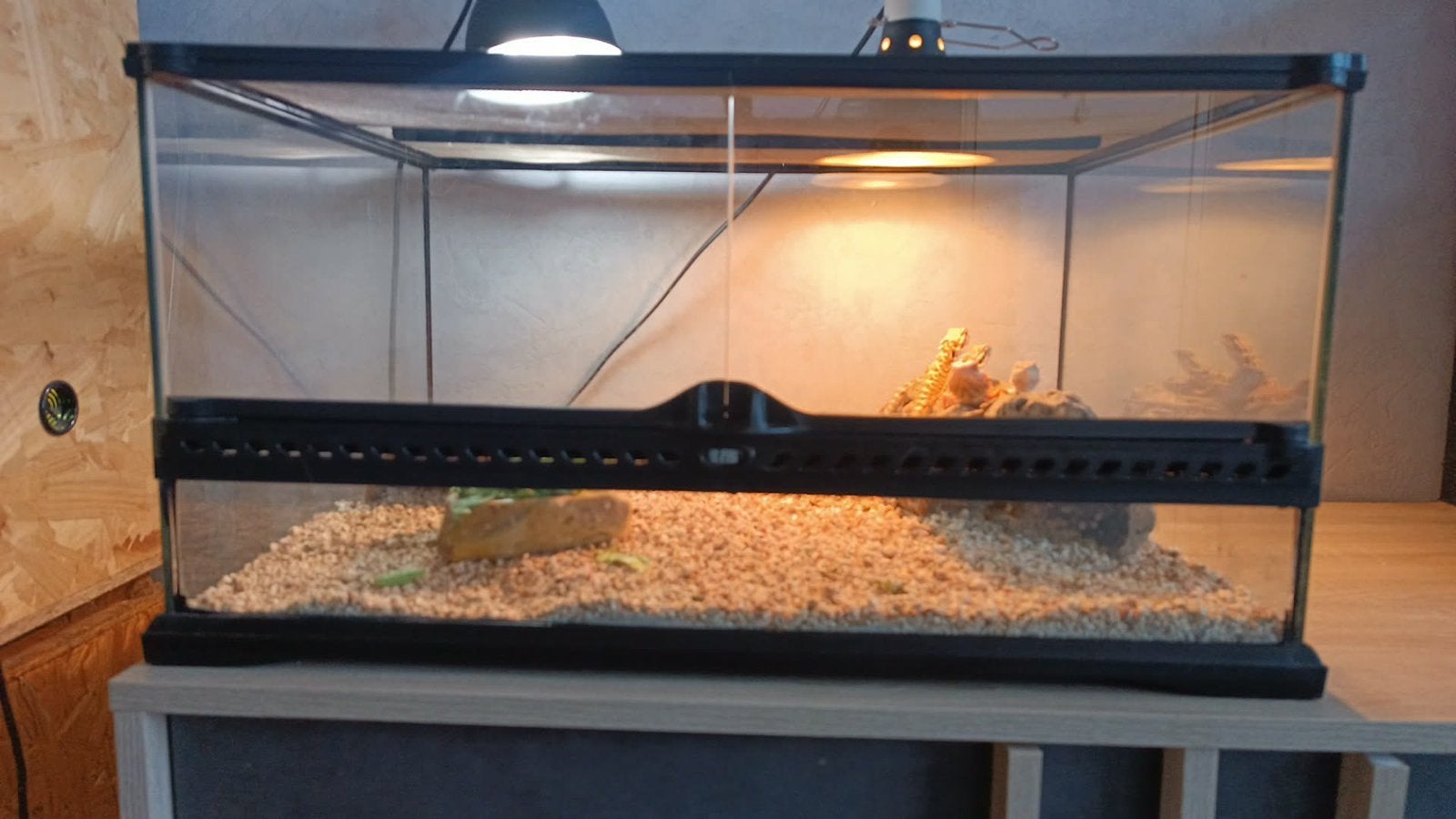 Terrarium, Animaux & Accessoires, Enlèvement, Comme neuf
