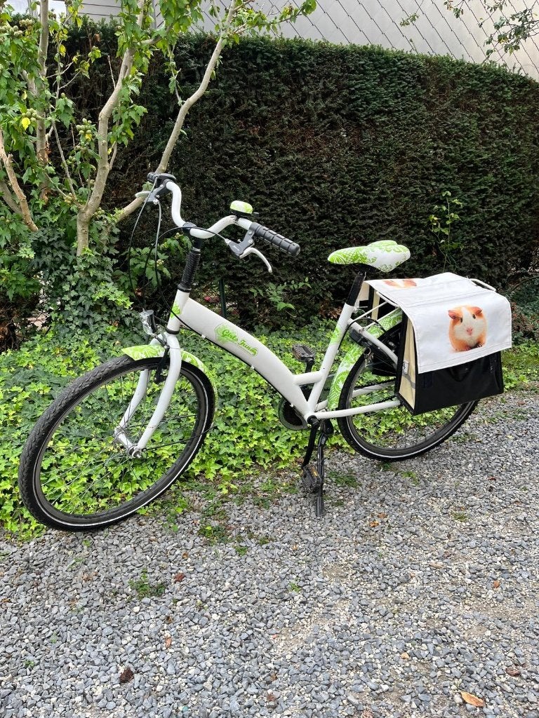 meisjes kinderfiets, Vitesses, 26 pouces ou plus, Enlèvement, Utilisé