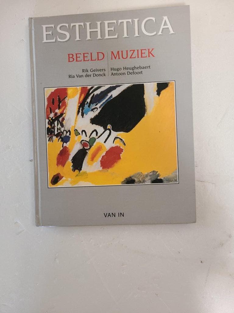 boek esthetica beeld muziek, Boeken, Ophalen of Verzenden, Zo goed als nieuw, Overige niveaus