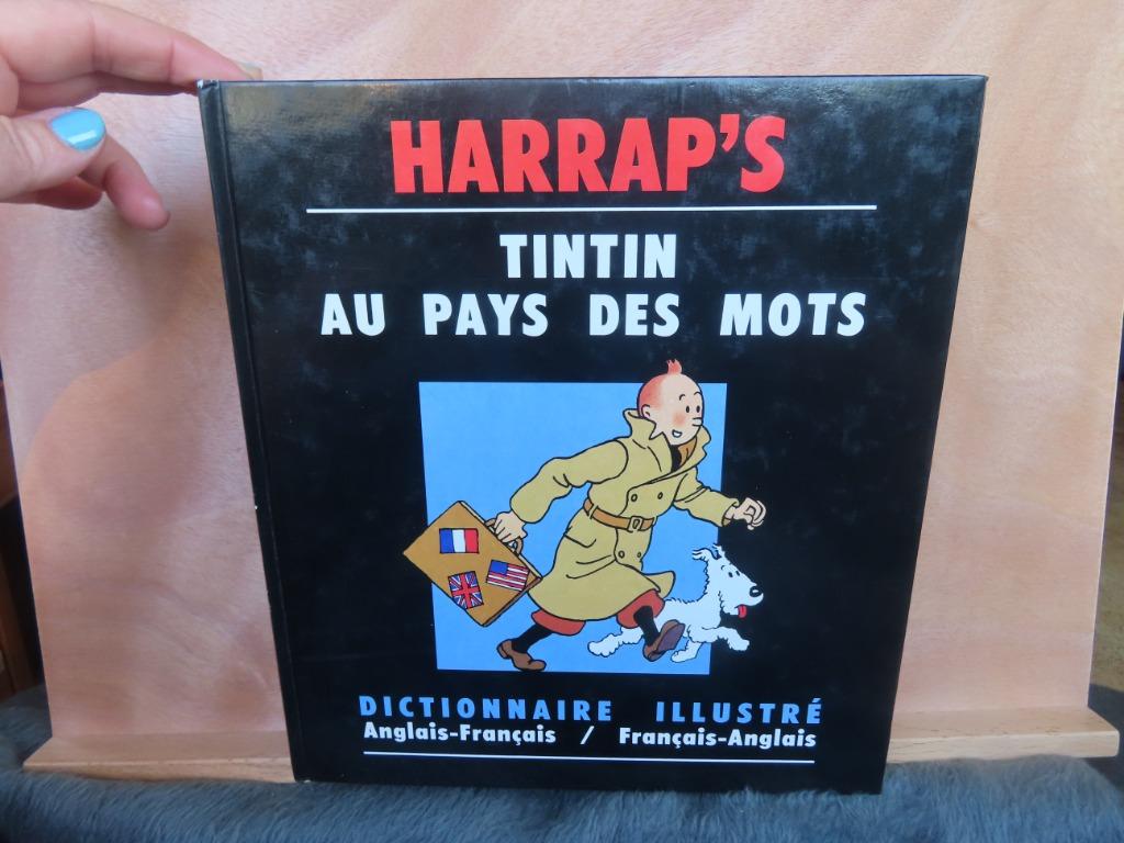 Tintin Au Pays Des Mots/Dictionnaire illustré anglais-frança, Enlèvement ou Envoi, Hélène Houssemaine, Une BD, Utilisé