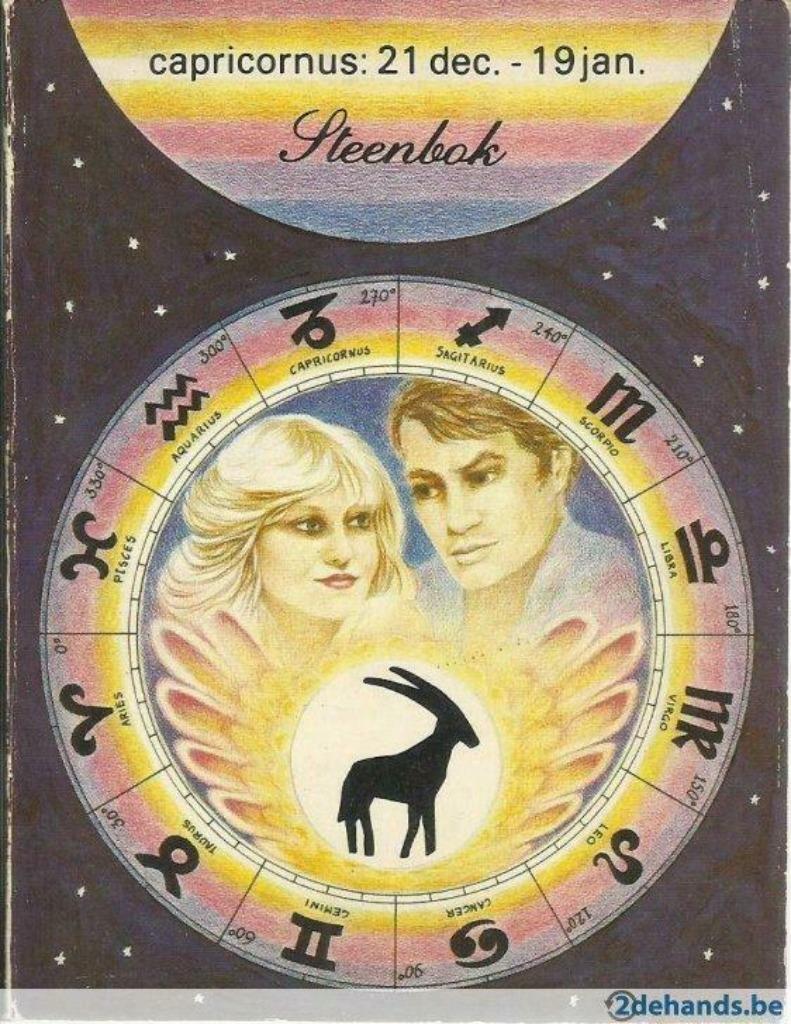 STEENBOK - CAPRICORNUS, Boeken, Ophalen of Verzenden, Gelezen, Astrologie