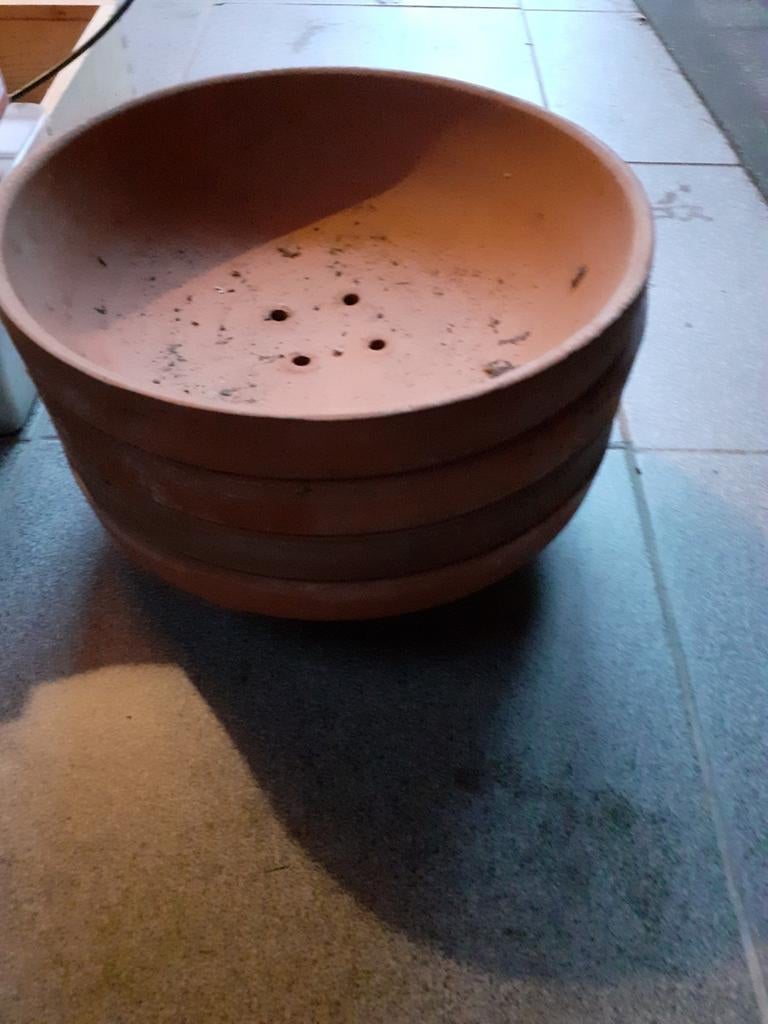 Duiven nesten, Dieren en Toebehoren