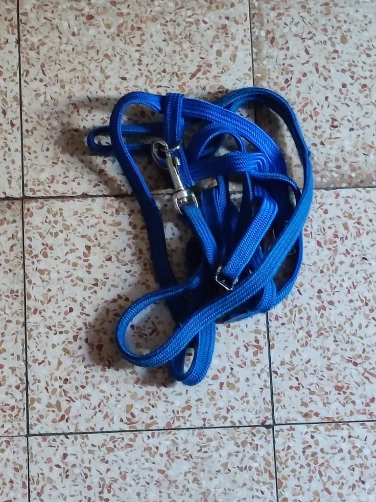 Laisse pour chien, Enlèvement ou Envoi, Comme neuf, Laisse pour chien