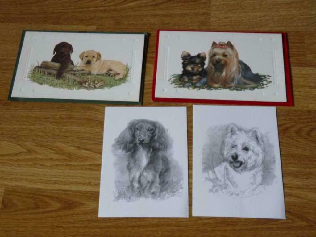4 kaarten met honden, Collections, Cartes postales | Animaux, Enlèvement ou Envoi, Chien ou Chat