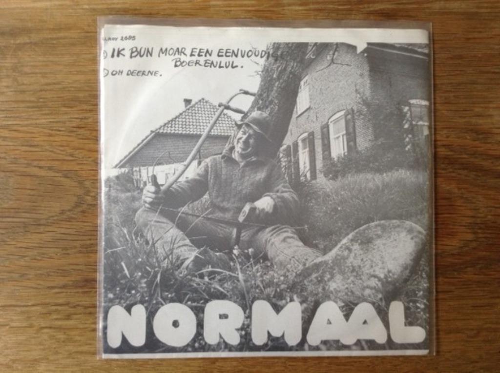 single normaal, Cd's en Dvd's, Vinyl Singles, Ophalen of Verzenden, Nederlandstalig