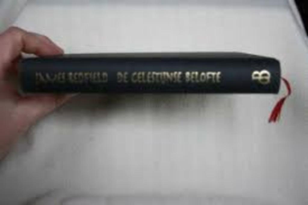 De Celestijnse belofte|James Redfield 9022520153, Enlèvement ou Envoi, Comme neuf, Récit ou Roman, Zie beschrijving