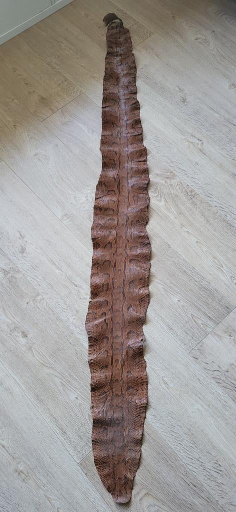 Peau de serpent