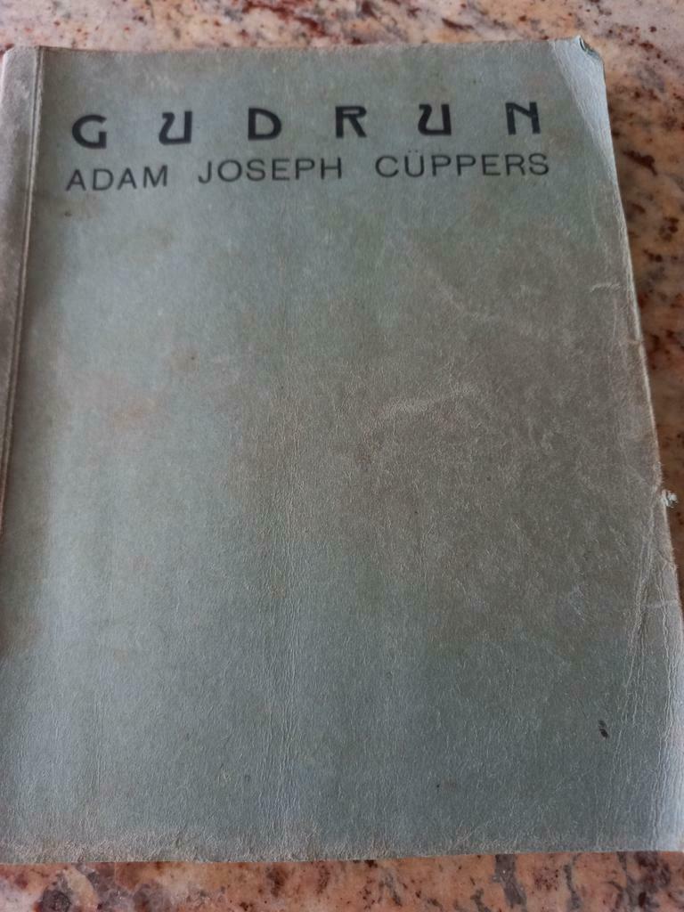 GUDRUN..Een oude roman van vrouwentrouw. Nr 286. Van 1939, Antiek en Kunst, Antiek | Boeken en Manuscripten, Ophalen of Verzenden