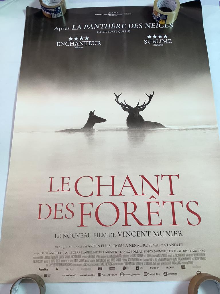 LE CHANT DES FORETS  filmposter  70-100 cm, Verzamelen, Ophalen of Verzenden