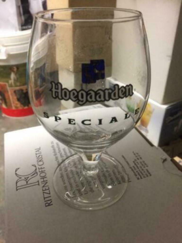 Hoegaarden Speciale : bierglas, Ophalen of Verzenden, Nieuw, Glas of Glazen, Overige merken