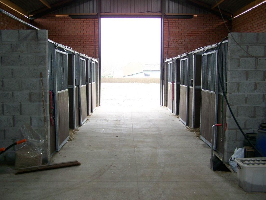 paardenstalling omgeving stekene koewacht, Dieren en Toebehoren, Weidegang, 1 paard of pony