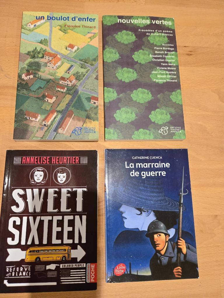 4 romans: Nouvelles vertes+un boulot d'enfer+sweet sixteen.., Ophalen, Gelezen, ASO, Frans