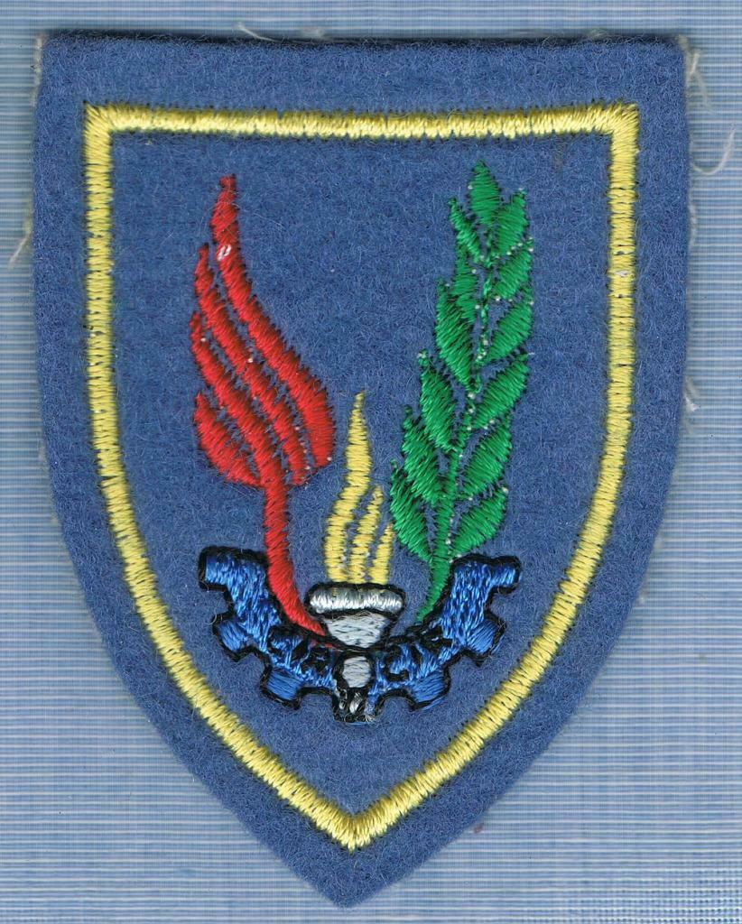 Belgian Air Force Service dress Insigne ( MS 22 ), Enlèvement ou Envoi, Armée de l'air, Emblème ou Badge