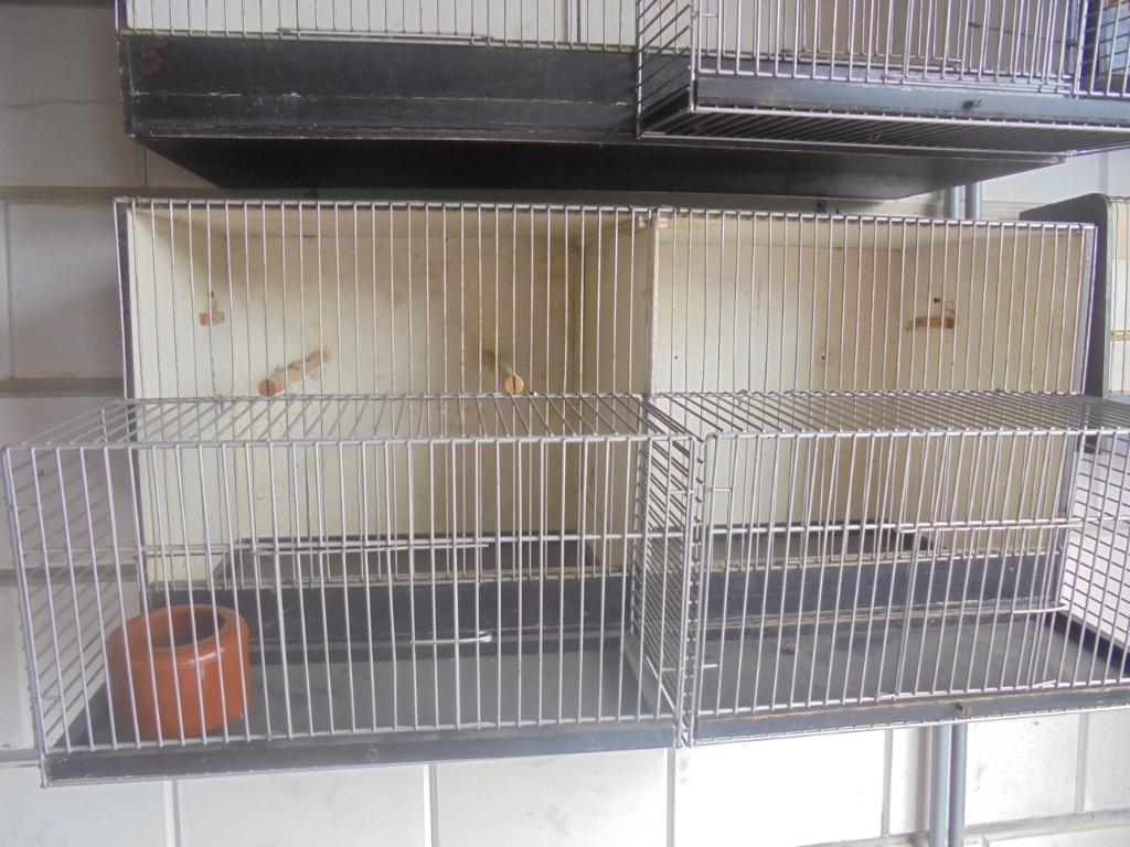 kweekkooi vogels, Enlèvement, Comme neuf, Bois, Cage d'élevage