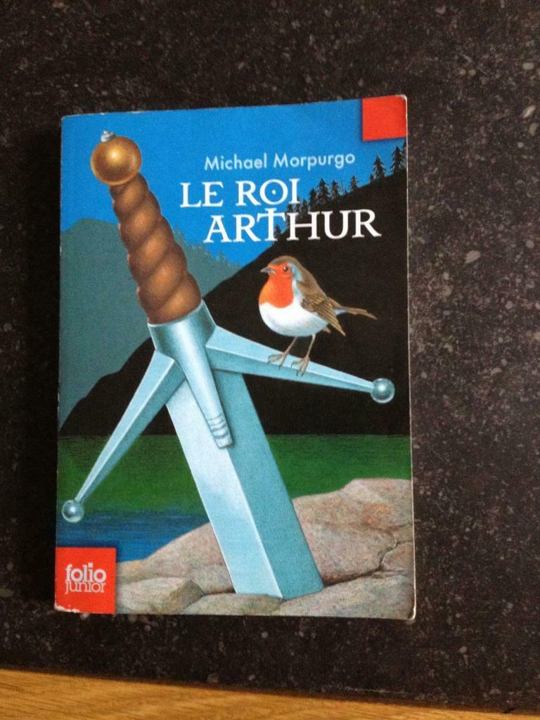 Le Roi Arthur - Michael Morpurgo, Livres, Romans, Enlèvement ou Envoi, Utilisé