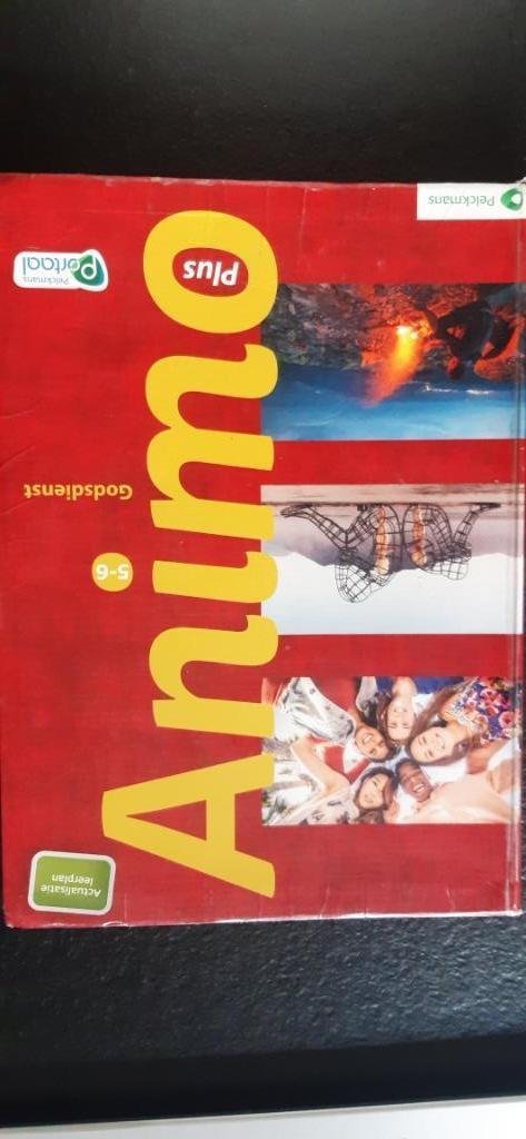 Animo 5/6 Godsdienst, Boeken, ASO, Godsdienst en Levensbeschouwing, Pelckmans, Ophalen