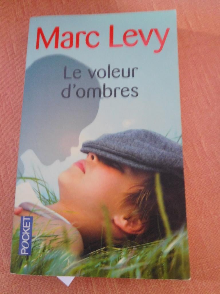 Boek The Shadow Thief van Marc Levy, Boeken, Ophalen of Verzenden, Zo goed als nieuw, Marc Levy