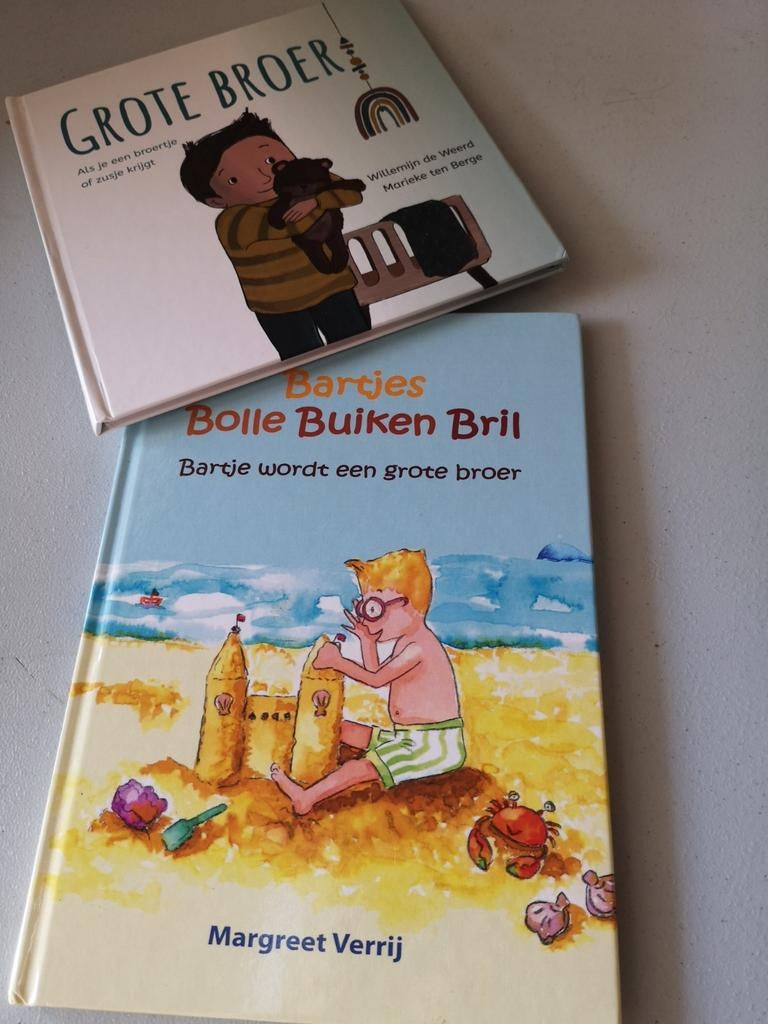 2 boeken "grote broer", Enlèvement ou Envoi, Utilisé