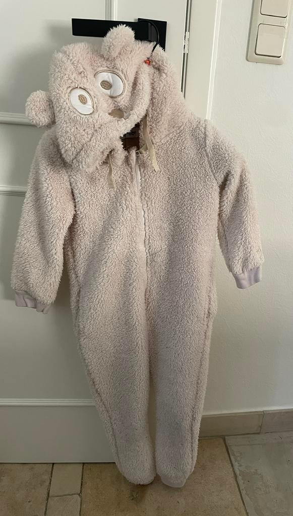 Onesie 4 jaar Eskimo, Enlèvement