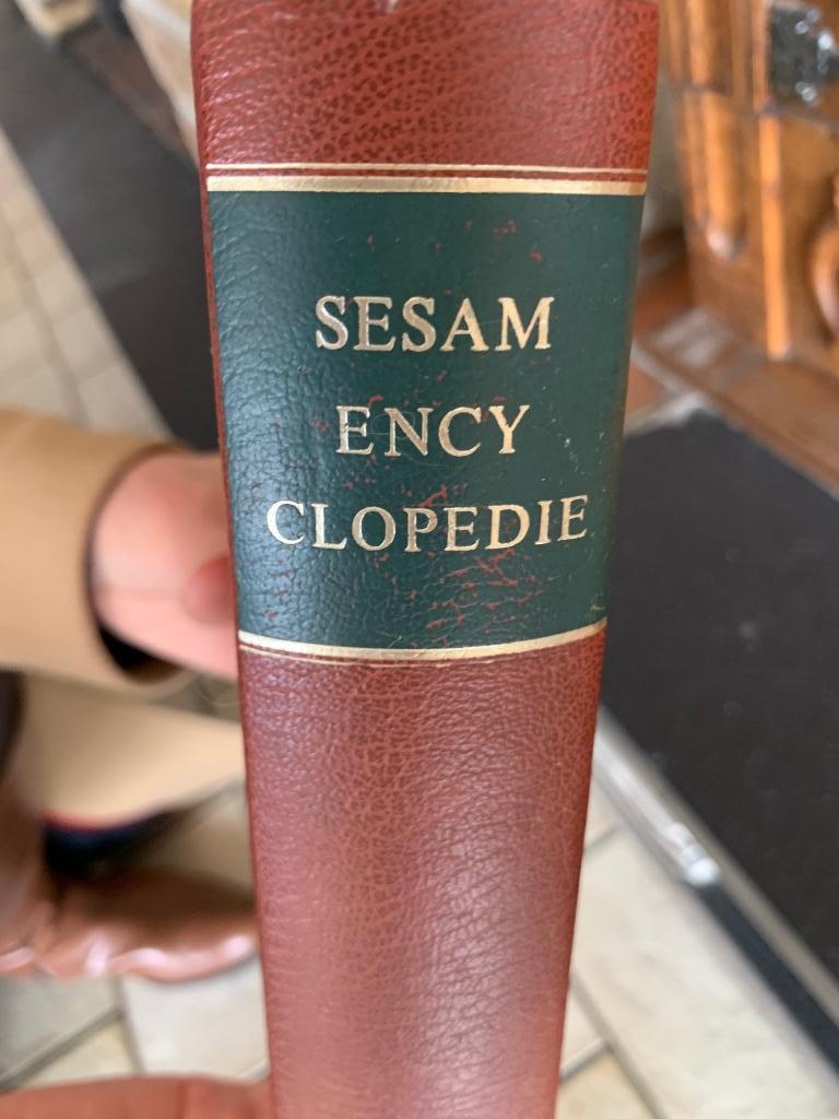 Sesam Encyclopedie, Ophalen, Gelezen, Algemeen, Complete serie
