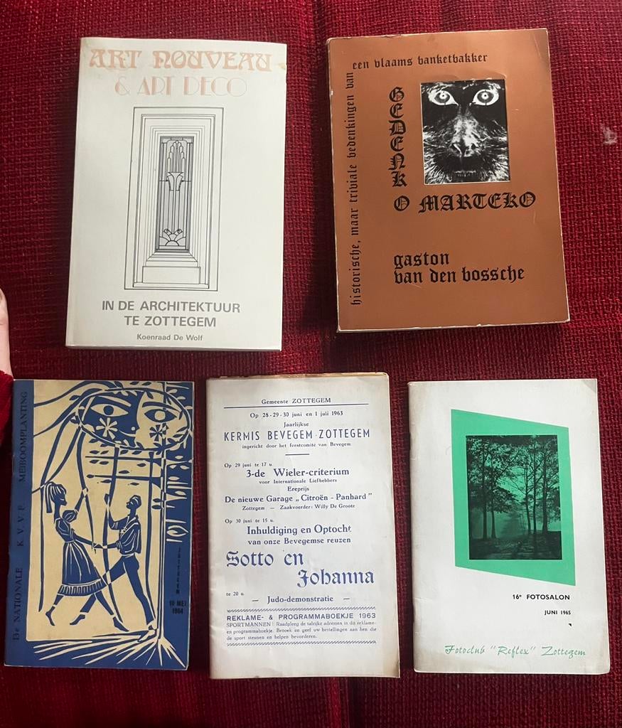 Boeken heemkunde geschiedenis Zottegem, Enlèvement ou Envoi