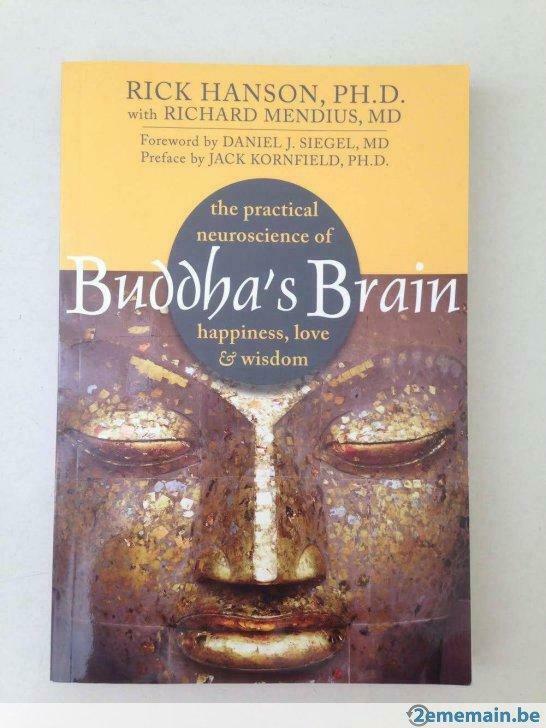 Buddha's Brain - Boek, Ophalen of Verzenden, Nieuw