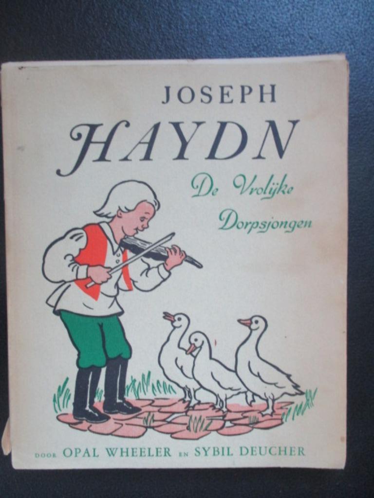 Joseph Haydn, De Vrolijke Dorpsjongen, Boeken, Kinderboeken | Jeugd | 10 tot 12 jaar, Gelezen, Non-fictie, Ophalen of Verzenden