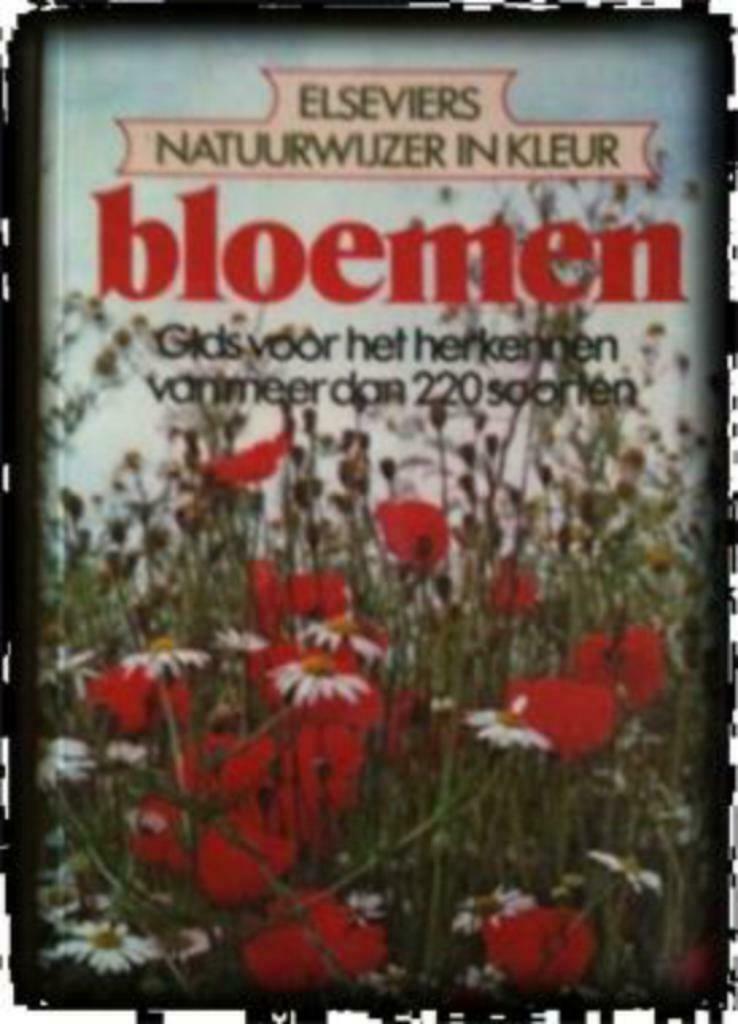 Bloemen, Helen L.Pursey, Ophalen of Verzenden, Gelezen, Bloemen, Planten en Bomen