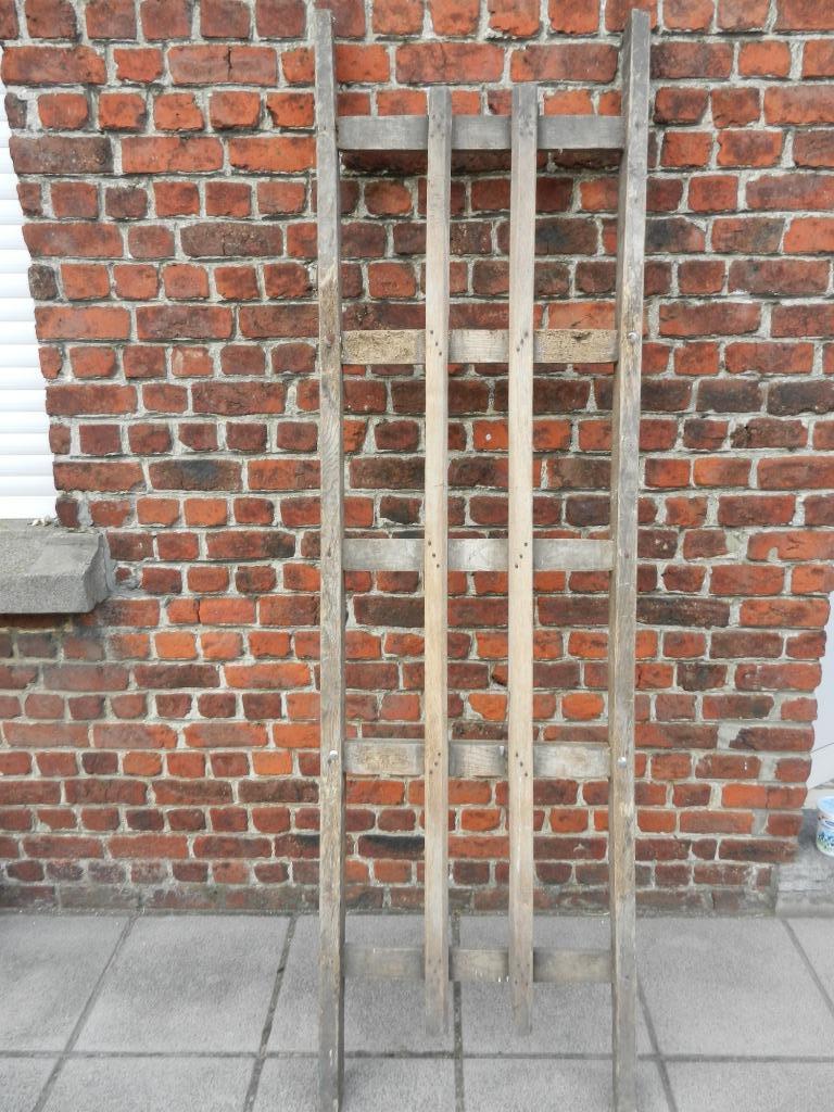 Ladder, Doe-het-zelf en Bouw, Ladders en Trappen, Ladder, Ophalen