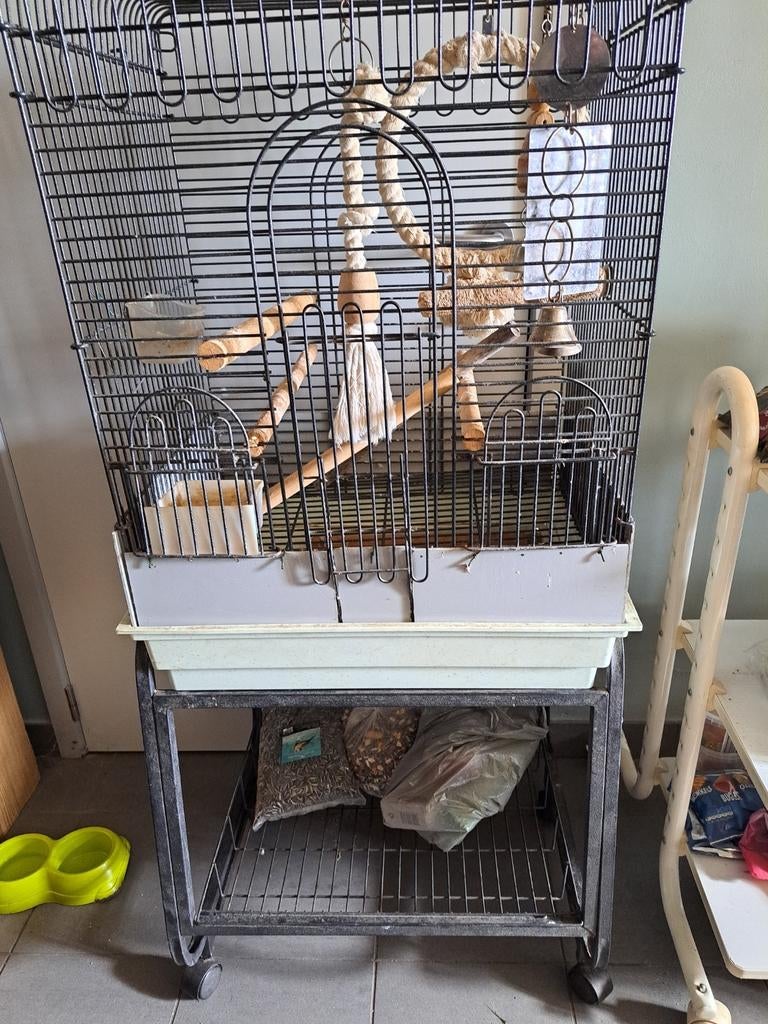Papegaaienkooi, Dieren en Toebehoren, Vogels | Hokken en Kooien, Ophalen