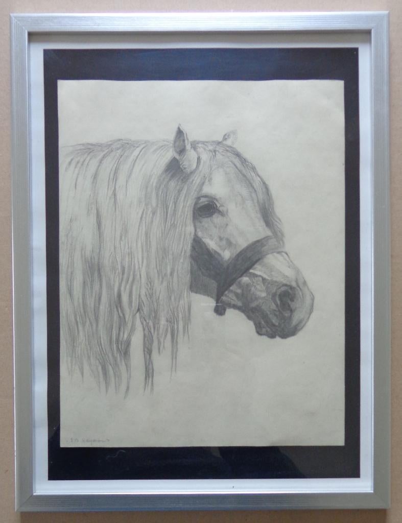 S.B. HAYWARD / WEARY PONY / ORIGINEEL WERK / 42x32cm KADER, Ophalen of Verzenden