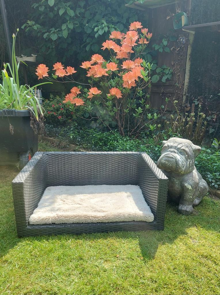 Rieten hondenmand, Dieren en Toebehoren, Ophalen, Zo goed als nieuw