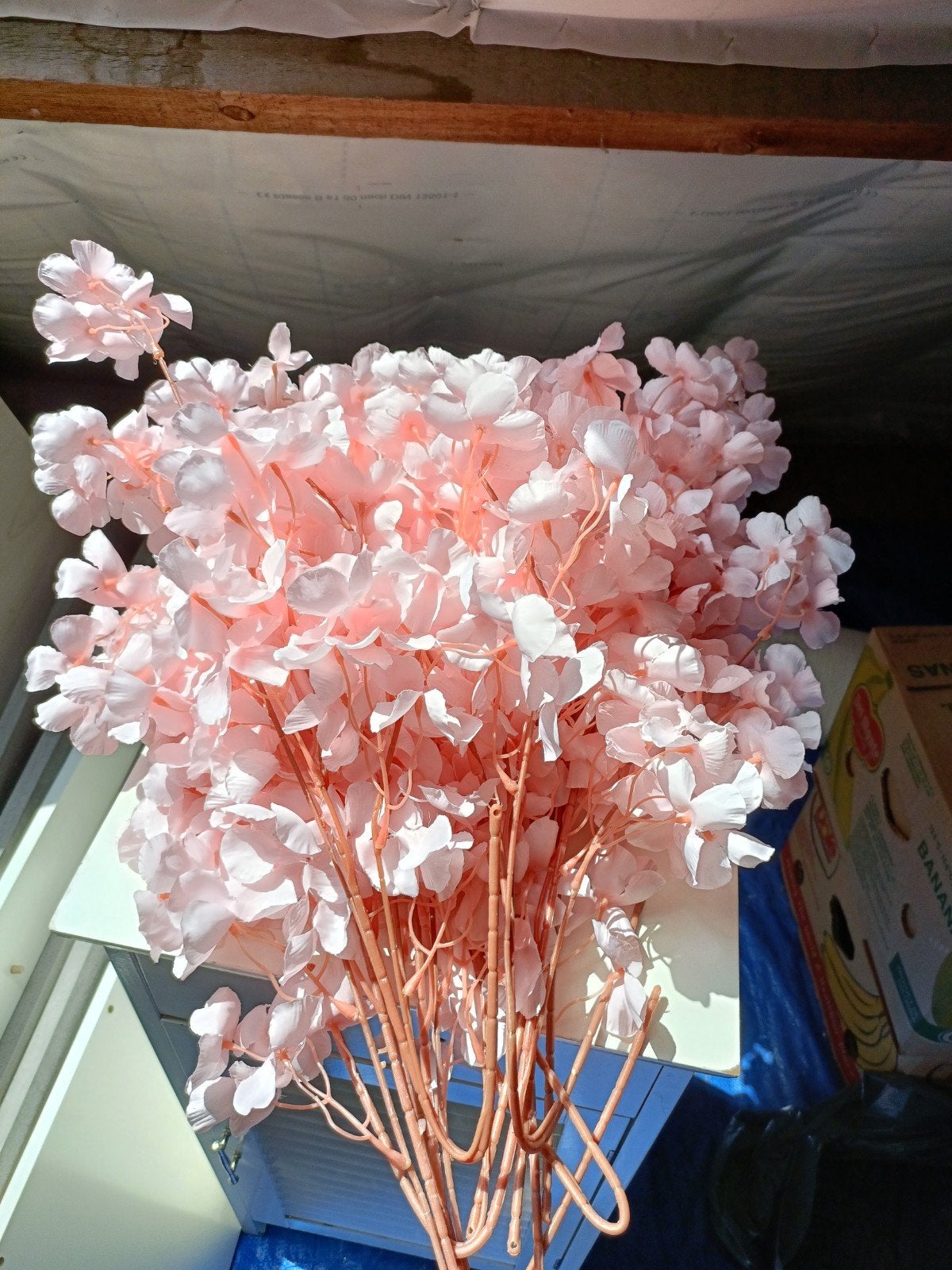 bos nep bloemen, Ophalen