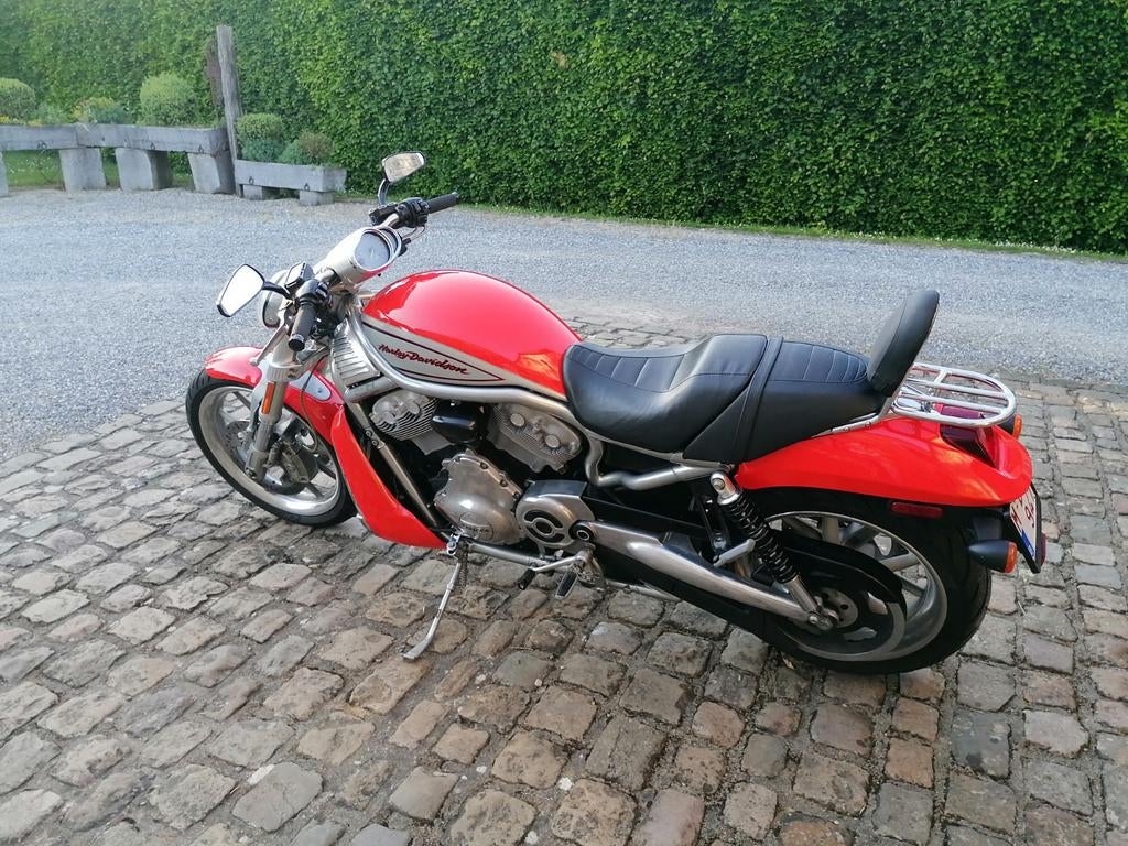 Harley-Davidson V rod, Motos, Particulier