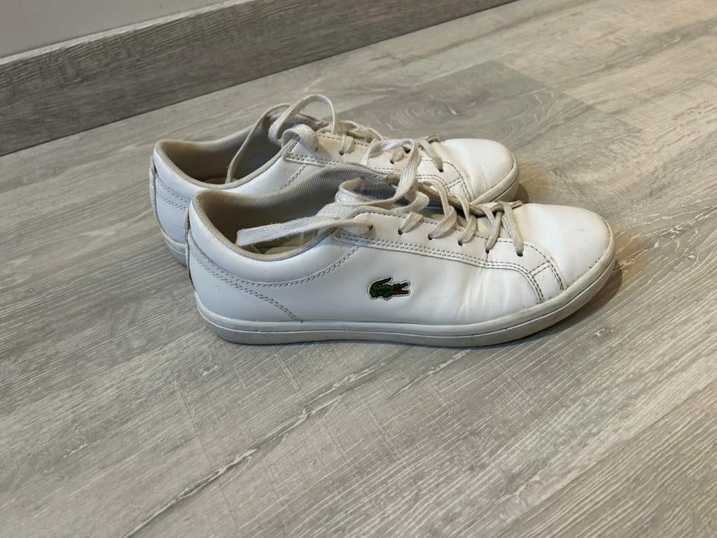 Sneakers lacoste, Ophalen, Zo goed als nieuw, Sneakers