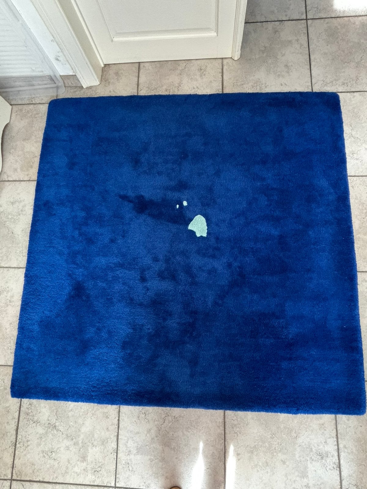 Tapis bleu pure laine, Maison & Meubles, Enlèvement, Comme neuf, Bleu