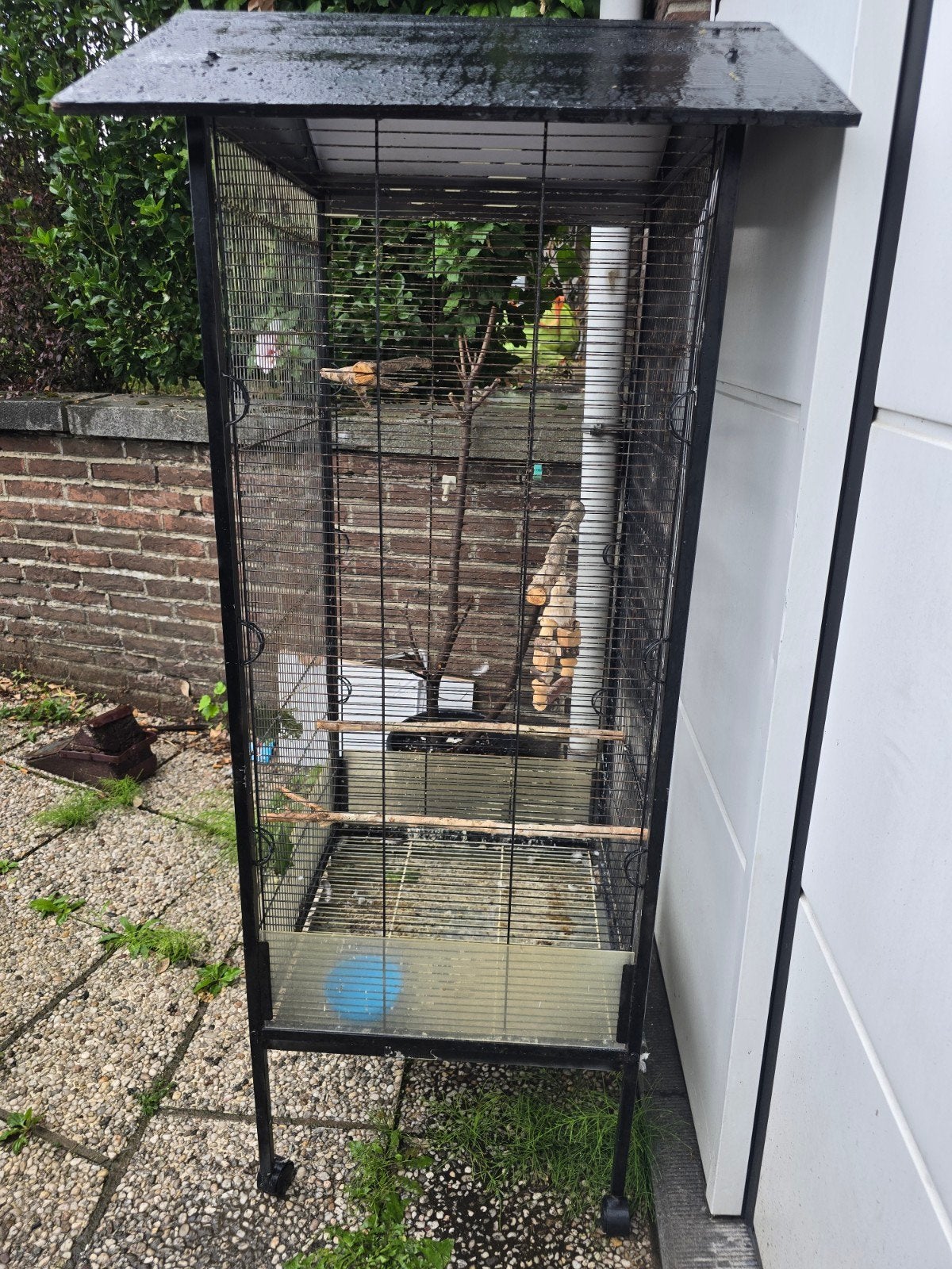 cage oiseaux, Animaux & Accessoires, Oiseaux | Cages & Volières, Enlèvement