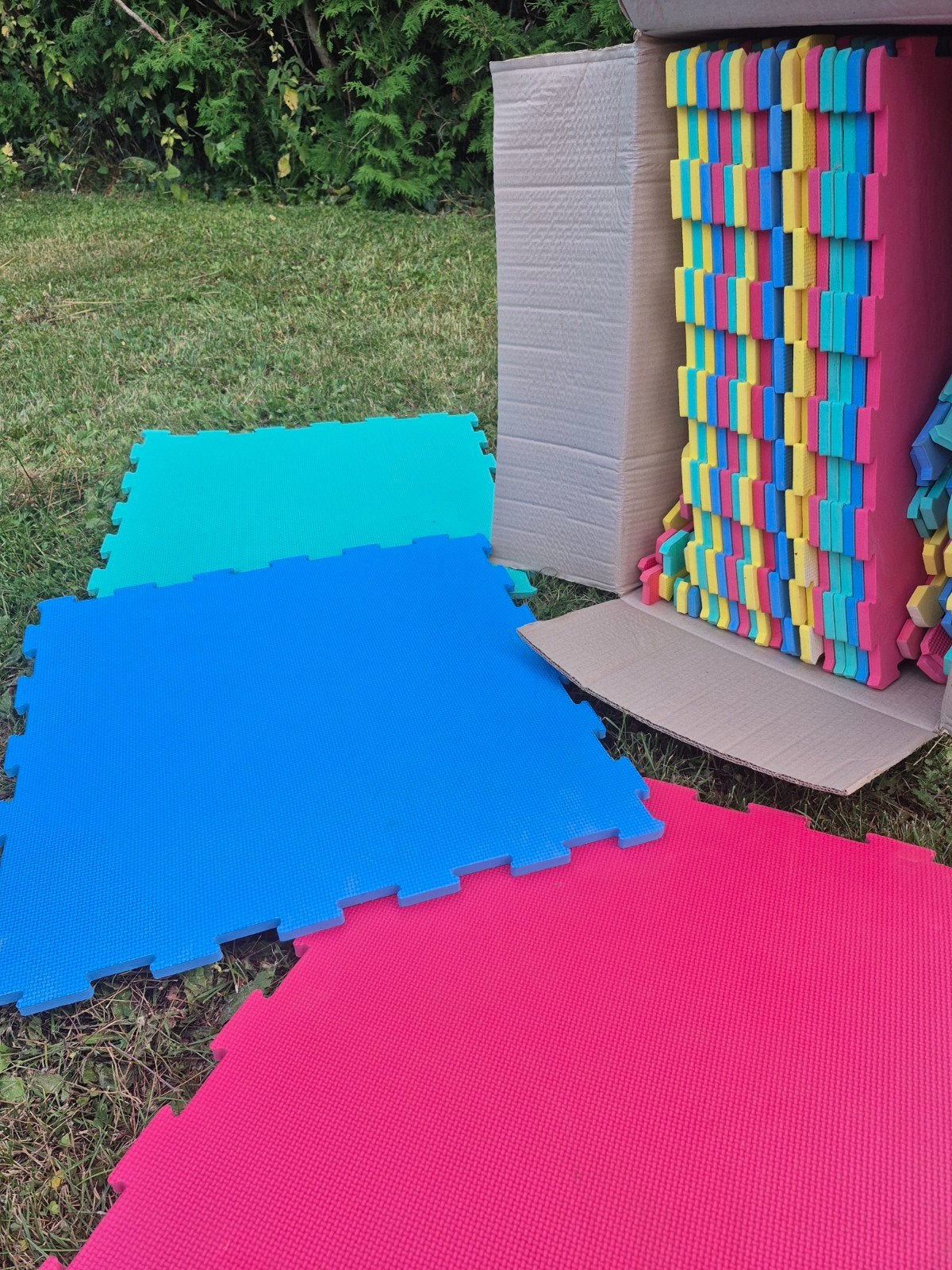 Tapis en mouse puzzle, Enlèvement