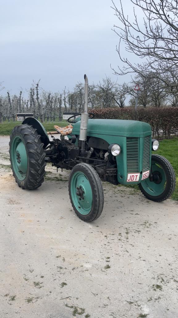 Massey Ferguson TED20, Jusqu'à 2500, Jusqu'à 80 ch, Enlèvement, Oldtimer/Ancêtre